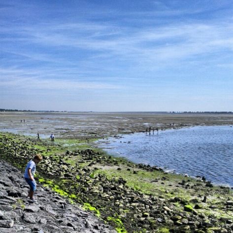 Wassersport in Zeeland: Segeln auf dem Grevelinger Meer bei Bruinisse